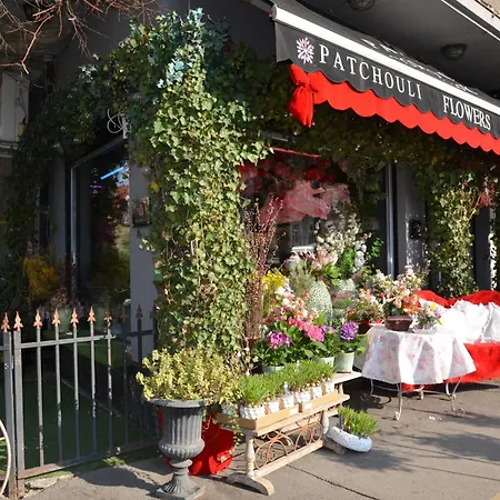 D`or Dorobanti Bucarest